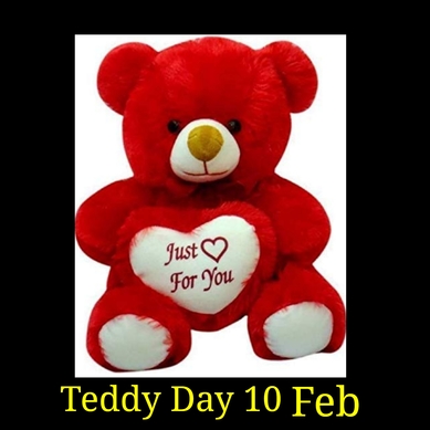 4.Teddy Day