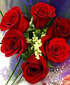 Red-Roses-Bunch