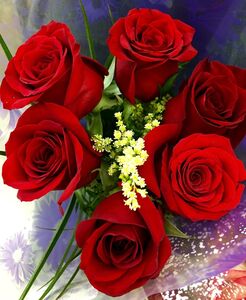 Red Roses Bunch