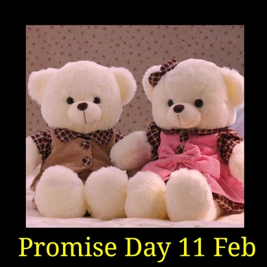 5.Promise Day